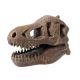 Kit de sapat Craniu T-Rex, +8 ani, Buki 514377