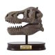 Kit de sapat Craniu T-Rex, +8 ani, Buki 514376