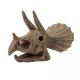 Kit de sapat Craniu Triceratops, +8 ani, Buki 514408
