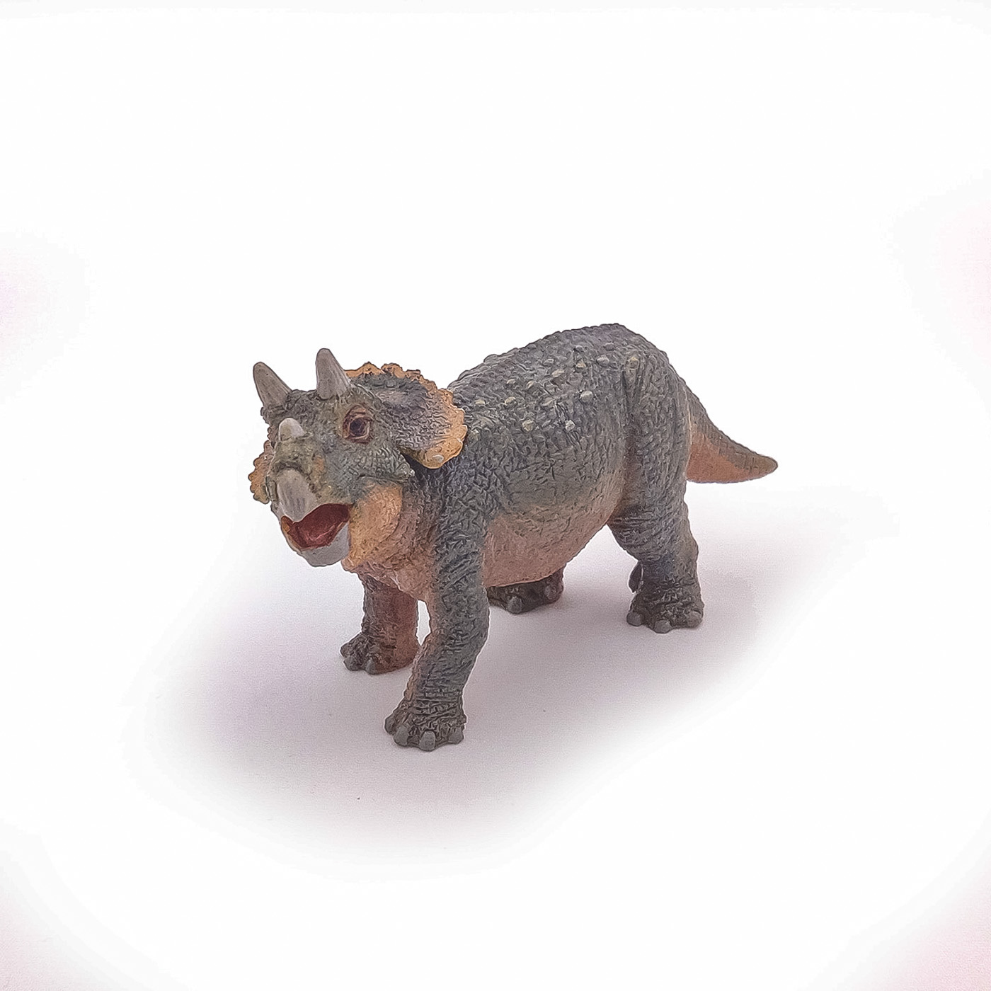 Figurina Dinozaur Triceraptops tanar, +3 ani, Papo