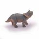Figurina Dinozaur Triceraptops tanar, +3 ani, Papo 516790