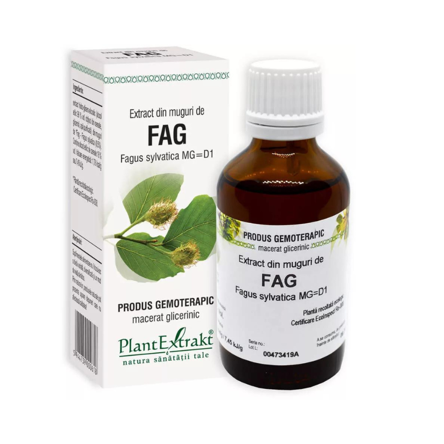 Extract de muguri fag, 50 ml, Plant Extrakt