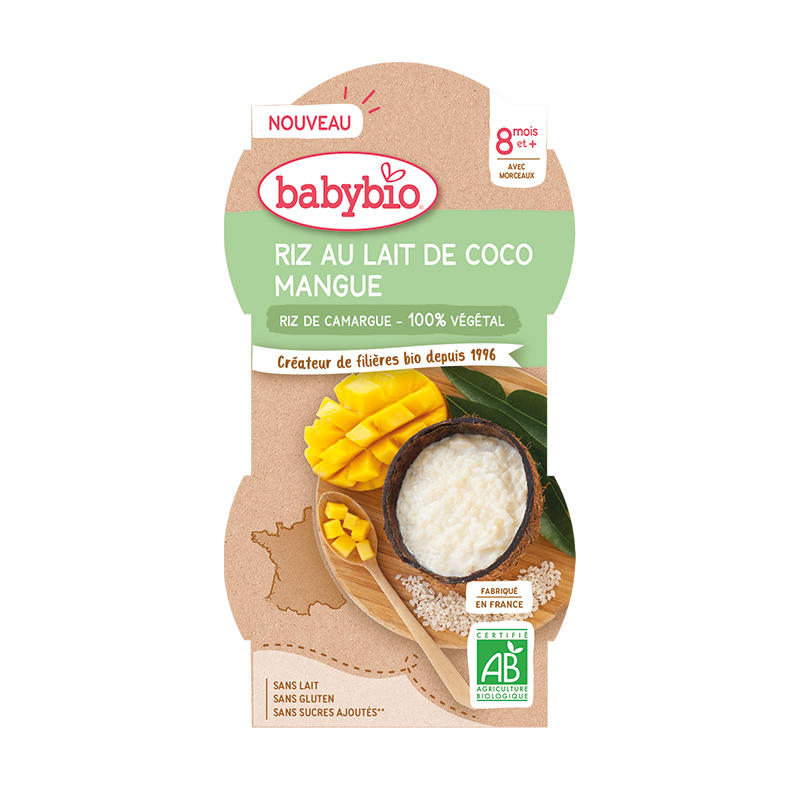 Desert Bio din orez cu crema de cocos si mango, 2 x 100 g, BabyBio