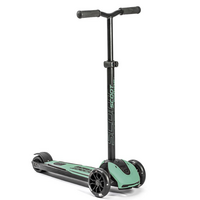 scoot-ride-96438-trotineta-copii-pliabila-reglabila-roti-luminoase-highwaykick-5-led-forest-5-ani-9808.png