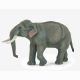 Figurina Elefant Asiatic, +3 ani, Papo 570212