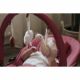Balansoar pentru bebelusi cu arcada de jucarii Swan Ivy, 0 luni+, Pink, Tryco 574836