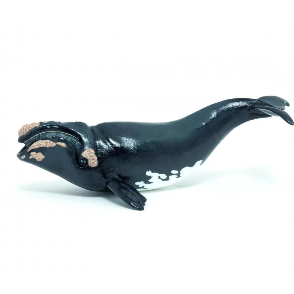 Figurina Balena, Papo