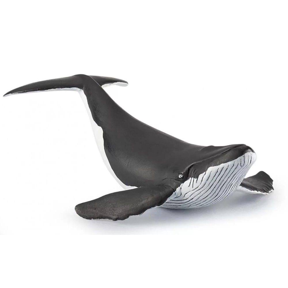 Figurina pui de Balena, Papo