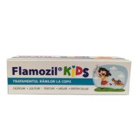 Gel pentru tratarea ranilor, 20 g, Flamozil Kids
