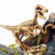 Experimentele micului geniu Kit Paleontologie Velociraptor, 7-12 ani, Lisciani 582068
