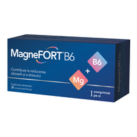 biofarm-magnefort-magneziu-forte-cu-vitamina-b6-30-drajeuri-3282.png
