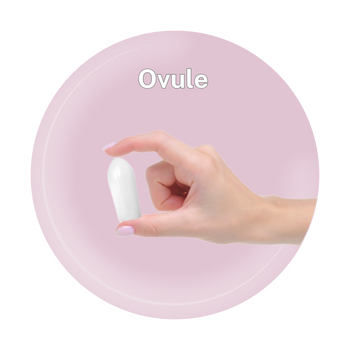 Ovule