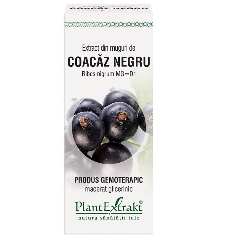 Extract de muguri de Coacaz Negru, 50 ml, Plant Extrakt