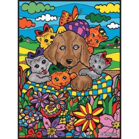 Plansa speciala de colorat pe catifea, Pets, L70, Colorvelvet