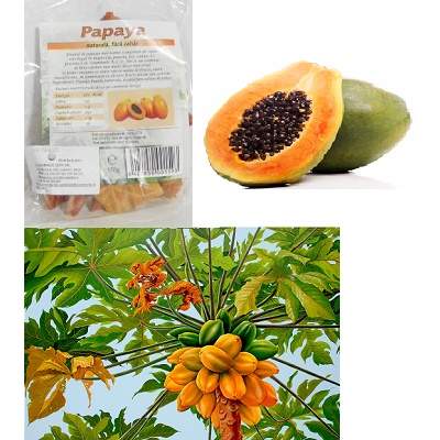 Papaya naturala, fara zahar, 150 gr