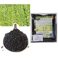 Seminte de susan negru, 250 g, Managis