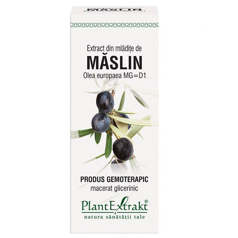 Extract de mladite de Maslin, 50 ml, Plant Extrakt
