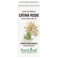 Extract din mladite de Catina Rosie, 50 ml, Plant Extrakt