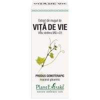Extract din muguri de Vita de Vie, 50 ml, Plant Extrakt